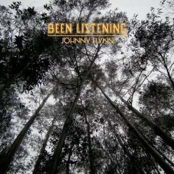 2LP Johnny Flynn: Been Listening