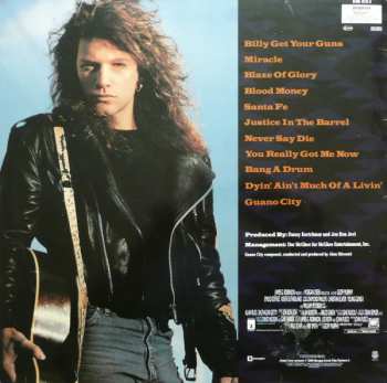 LP Jon Bon Jovi: Blaze Of Glory