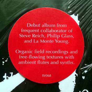 LP Jon Gibson: Visitations