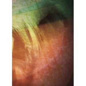 Album Jónsi: Go Quiet - A Film