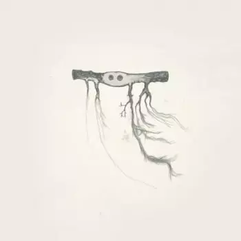 José González: In Our Nature