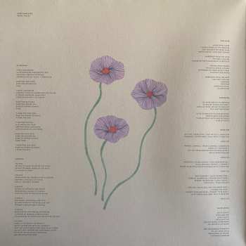 LP José González: Local Valley