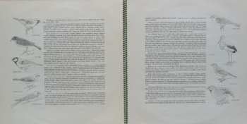 LP Josef Cincibus: Nasloucháme Přírodě