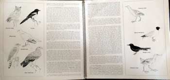 LP Josef Cincibus: Nasloucháme Přírodě 2 (Výběr Zvukových Záznamů)