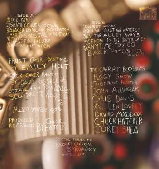 LP Josephine Foster: Mystery Meet LTD