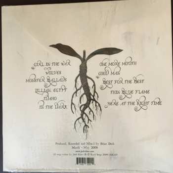 LP The Animal Years CLR | LTD