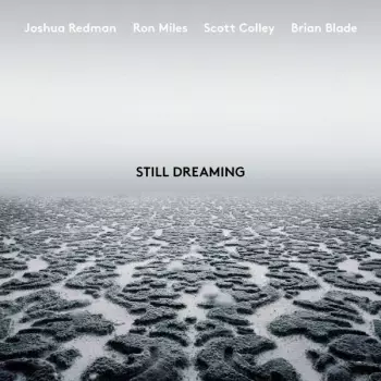 Still Dreaming 