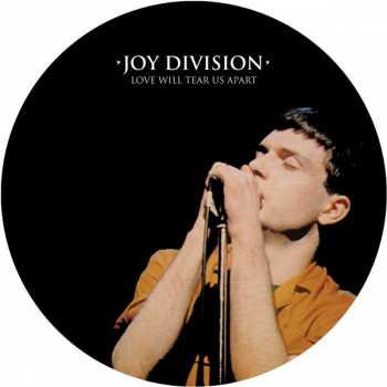 LP Joy Division: Love Will Tear Us Apart  PIC