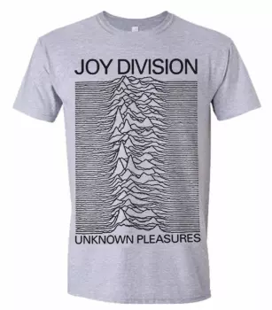 Camiseta Unknown Pleasures (grey)