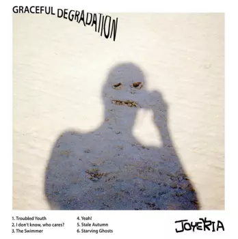 Graceful Degradation