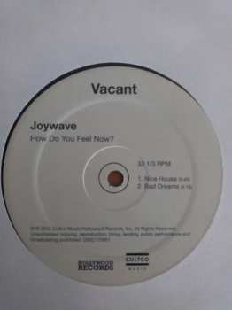 2LP Joywave: How Do You Feel Now?