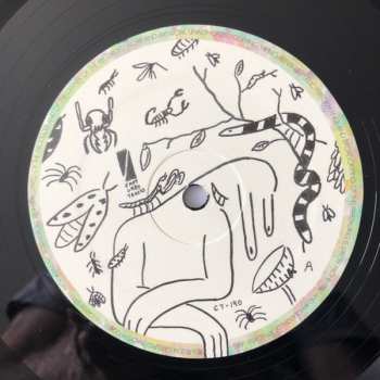 LP Juan Wauters: N.A.P. North American Poetry