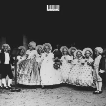 Julia Effekt: NACHTPARKETT