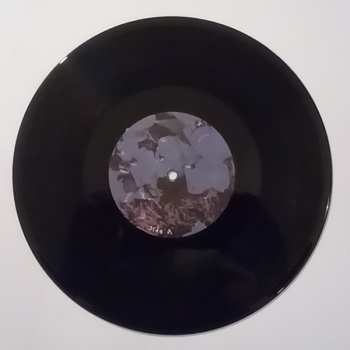 EP julie: Pushing Daisies 