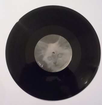 EP julie: Pushing Daisies 