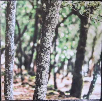 2LP Julien Doré: Vous & Moi