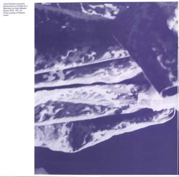 2LP/Caja Julius Eastman: The Nigger Series CLR | LTD
