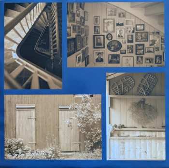 LP Juni Habel: Carvings