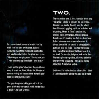 CD Karlheinz Wallner: Voices LTD | DIGI