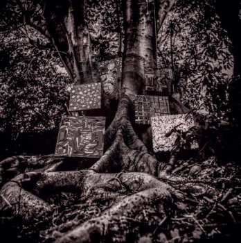 Album Kamasi Washington: Harmony Of Difference