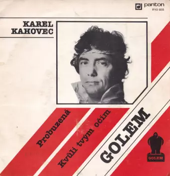 Probuzená / Kvůli Tvým Očím