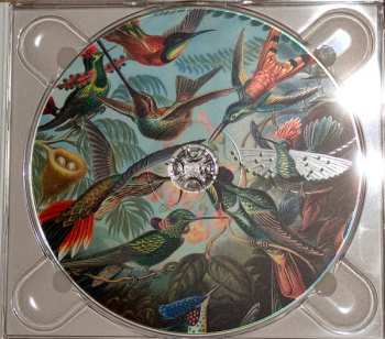 CD Katarína Koščová: Krehkosť