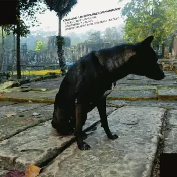 ただ美しく溶けてしまいたいのに　まだまだ満ち足りていないから　まだ見えてないはずの　ものの　ほうが愛おしく　思えてしまう = Only Wanting To Melt Beautifully Away Is It A Lack Of Contentment That Stirs Affection For Those Things Said To Be As Of Yet Unseen