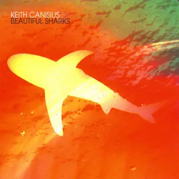 Keith Canisius: Beautiful Sharks