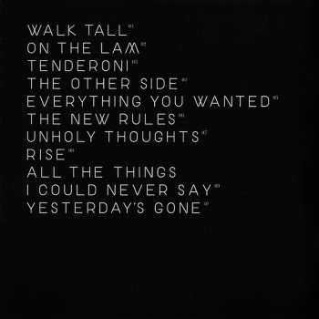 CD Kele Okereke: The Boxer