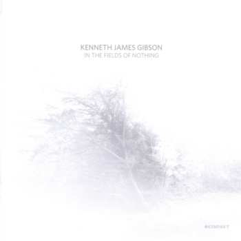 Album Kenneth James Gibson: In The Fields Of Nothing