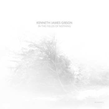 LP Kenneth James Gibson: In The Fields Of Nothing