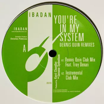 Jerome Sydenham And Kerri Chandler: You're In My System (Dennis Quin Remixes)