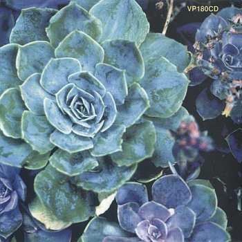 CD Kevin Ayers: The Garden Of Love