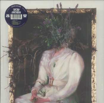 LP Kevin Devine: Nothing's Real, So Nothing's Wrong CLR | LTD