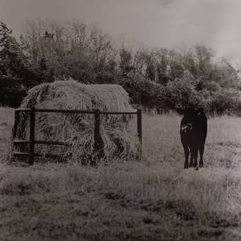 2LP Khruangbin: The Universe Smiles Upon You II LTD | CLR