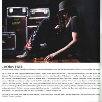 CD Kid Rock: Born Free