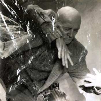 LP Kiev Stingl: Meine Sterne Fallen