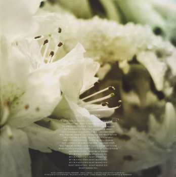 2LP Soundgarden: King Animal