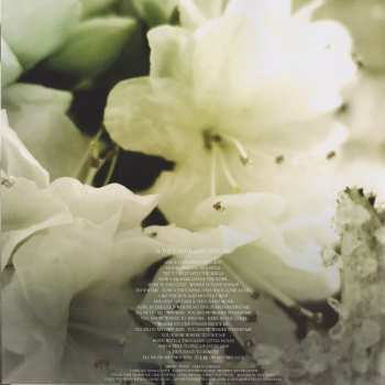 2LP Soundgarden: King Animal