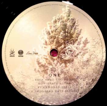 2LP Soundgarden: King Animal