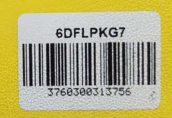 LP King Gizzard And The Lizard Wizard: Teenage Gizzard