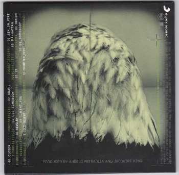 5CD/DVD/Caja Kings Of Leon: The Collection Box