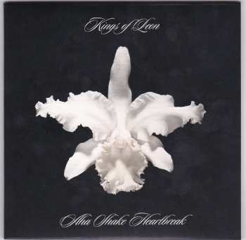 5CD/DVD/Caja Kings Of Leon: The Collection Box