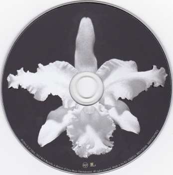 5CD/DVD/Caja Kings Of Leon: The Collection Box