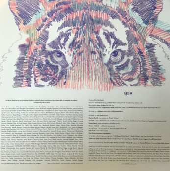 LP Kishi Bashi: 151a CLR