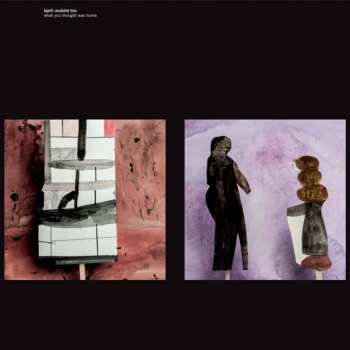 CD Kjetil Mulelid Trio: What You Thought Was Home