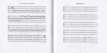 2CD Tokyo Metropolitan Symphony Orchestra: 交響組曲「ドラゴンクエストVIII」空と海と大地と呪われし姫君 = Symphonic Suite Dragon Quest VIII Sorato Umito Daichito Norowareshi Himegimi