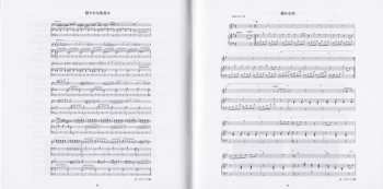 2CD Tokyo Metropolitan Symphony Orchestra: 交響組曲「ドラゴンクエストVIII」空と海と大地と呪われし姫君 = Symphonic Suite Dragon Quest VIII Sorato Umito Daichito Norowareshi Himegimi