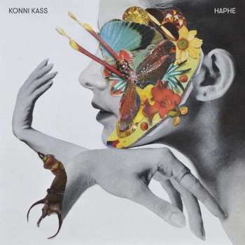 LP Konni Kass: Haphe
