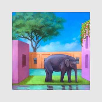 Album Korea Town Acid: Elephant In The Room